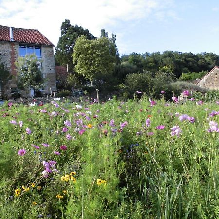 Vineyard Garden Studio 몽세인트진 외부 사진