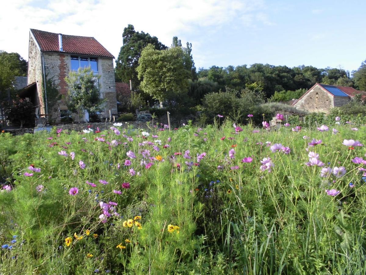 Vineyard Garden Studio 몽세인트진 외부 사진